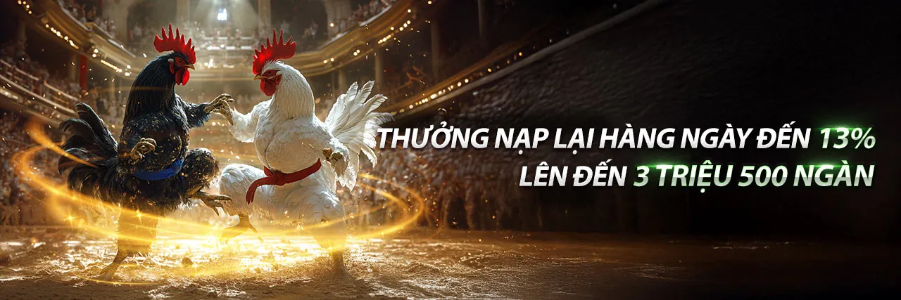 Hình ảnh đá gà trực tiếp 17/4